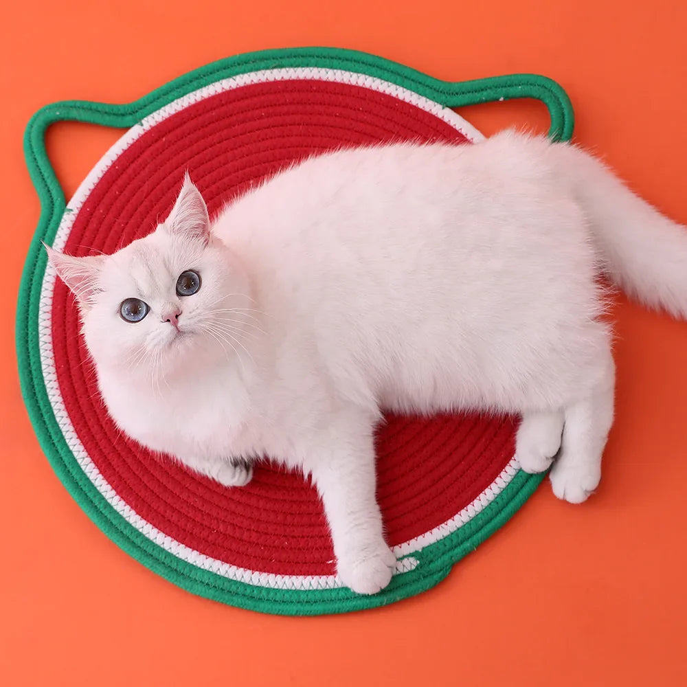 Cat Sleeping Summer Mat