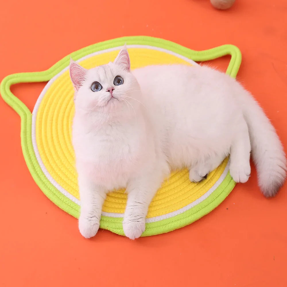 Cat Sleeping Summer Mat