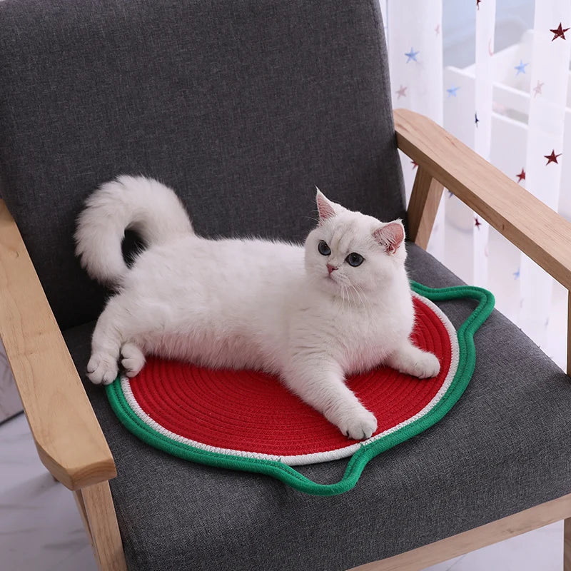 Cat Sleeping Summer Mat