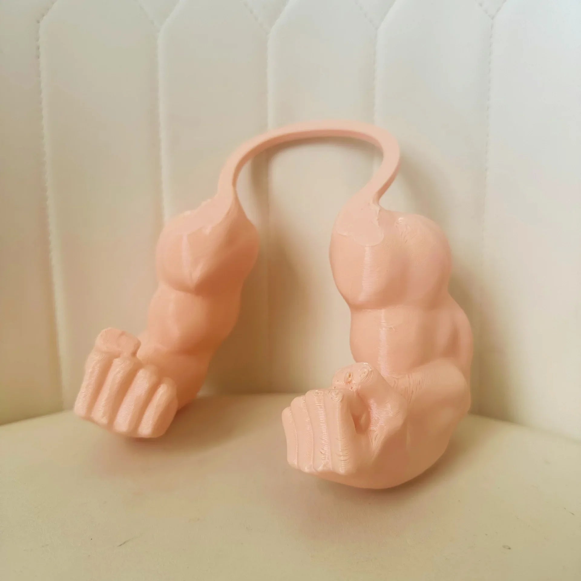 Funny 3D Printed Cat Arm Prop