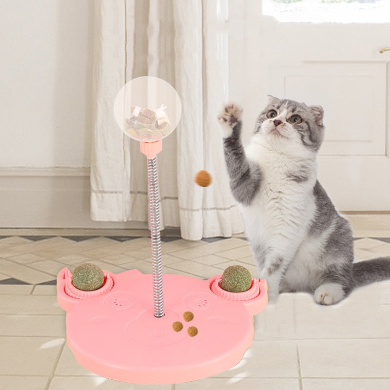 Pet Puzzle Food Leaking Ball Toys