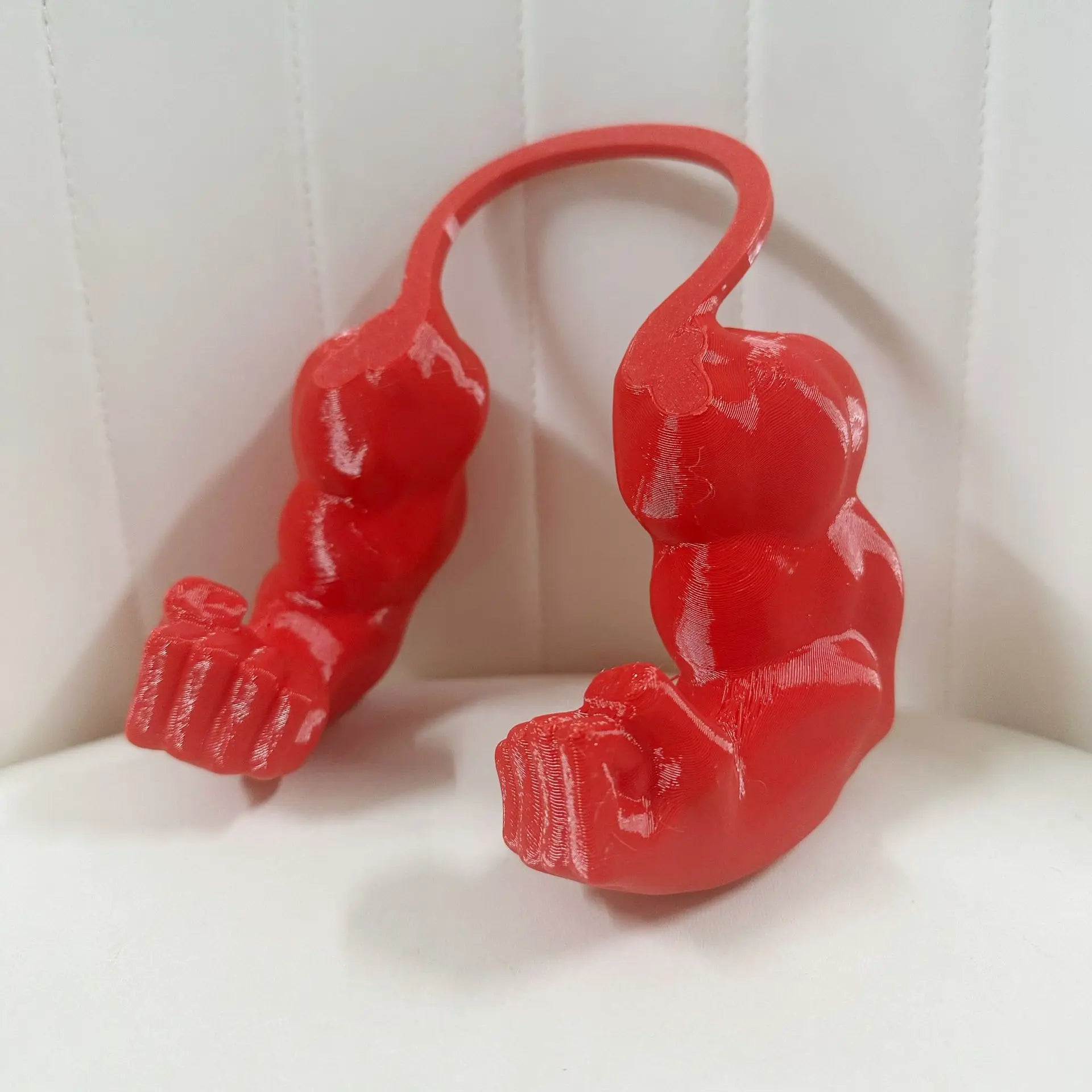 Funny 3D Printed Cat Arm Prop