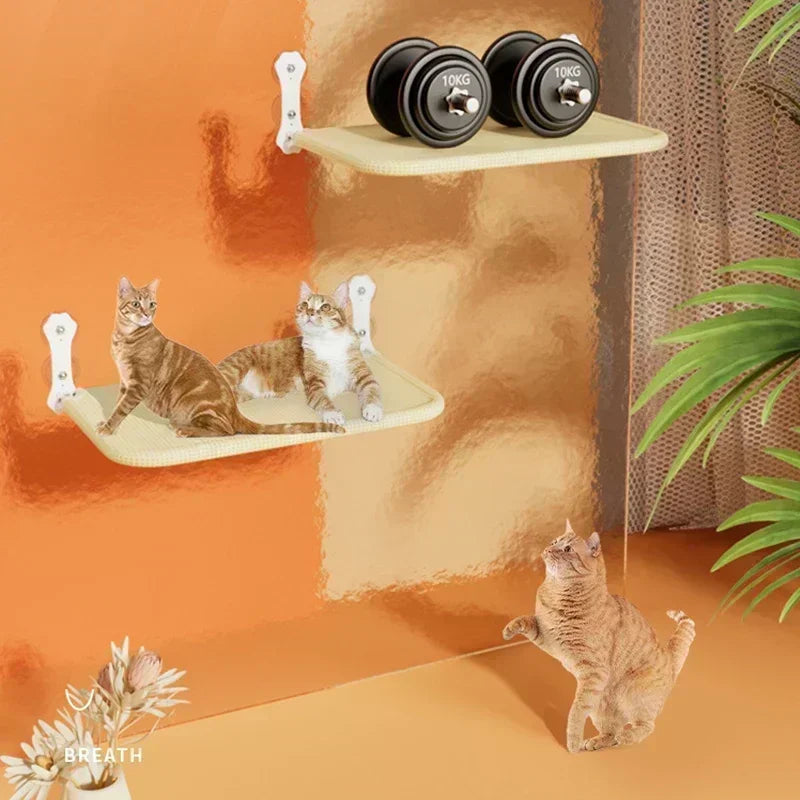 Foldable Cat Window Hammock