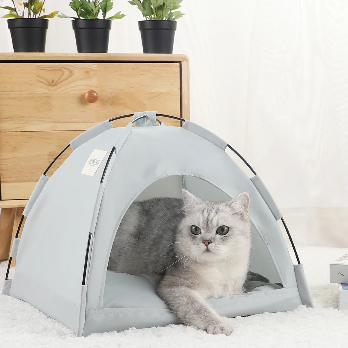 Cute Cat Dog Tent