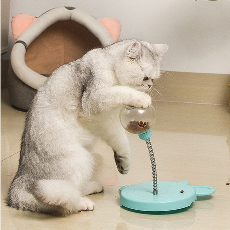 Pet Puzzle Food Leaking Ball Toys