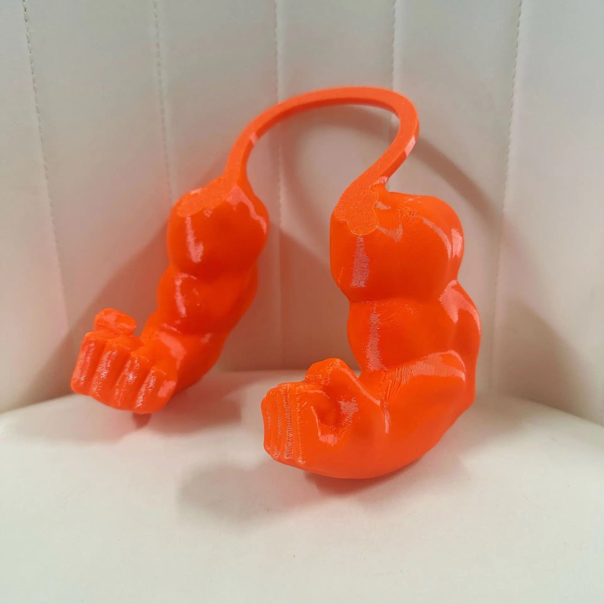 Funny 3D Printed Cat Arm Prop