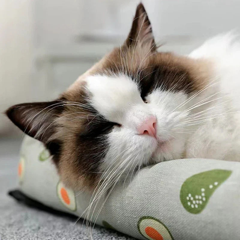 Summer Cooling Cat Dog Bed
